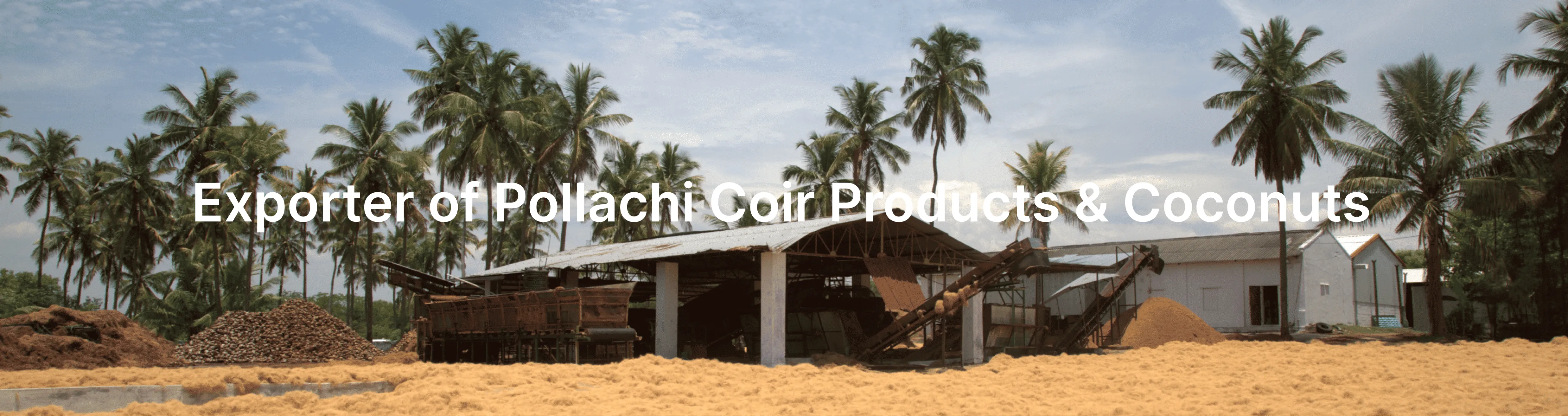 Coco peat market in india